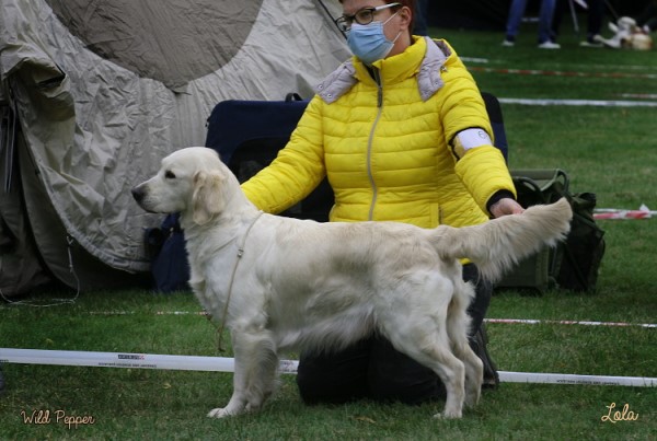 Lola in Gelsenkirchen