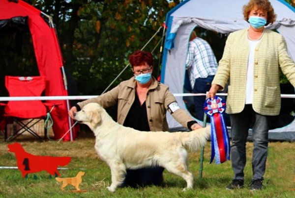 Lola V1 CAC, Siegerin Stormarn, BOB 