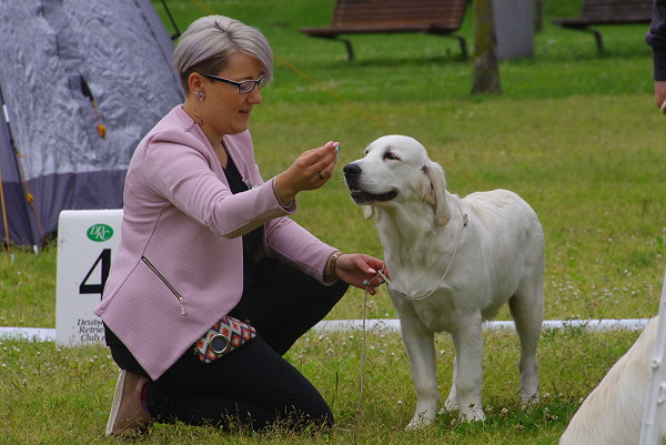 Linus (Wild Pepper Listen To Your Heart) 