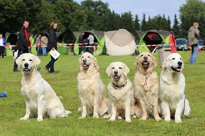 Kirky, Pauline, Lila, Avalon und Anton