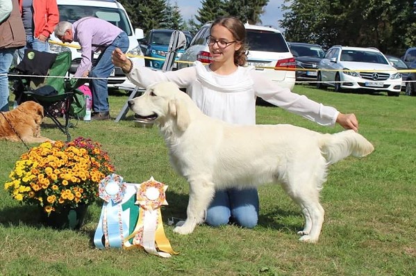 Wild Pepper Love Is All Around