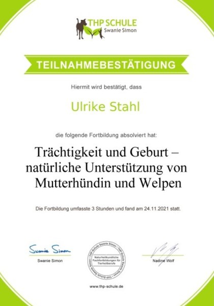 Trächtigkeit und Geburt