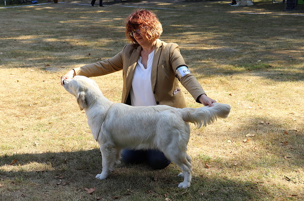 Babs (Wild Pepper Killer Queen) 