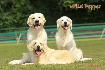 Tristan, Mimmi und Rose