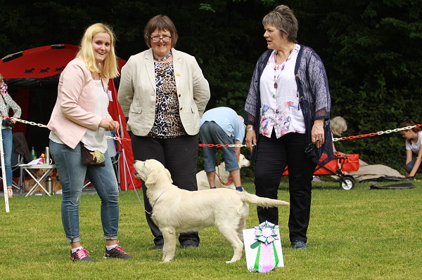 Juni (Wild Pepper Love Peace Happiness) Best Baby