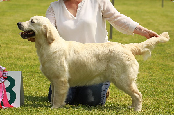 Babs (Wild Pepper Killer Queen) V3