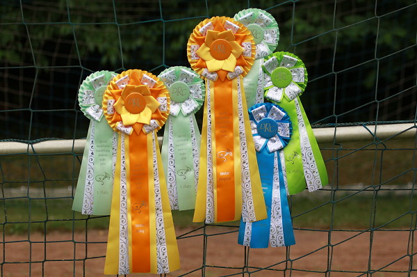 Unsere Schleifenparade class=