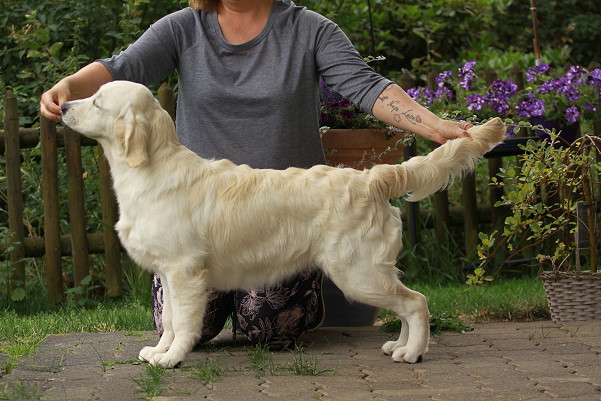 Lola (Wild Pepper Live Love Laugh) 