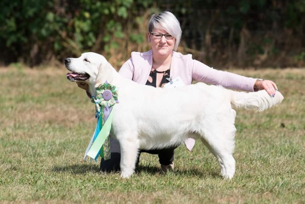 Linus (Wild Pepper Listen To Your Heart) 