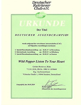 Deutscher Jugendchampion 