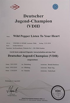 Deutscher Jugendchampion VDH