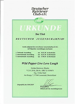 Deutscher Jugendchampion