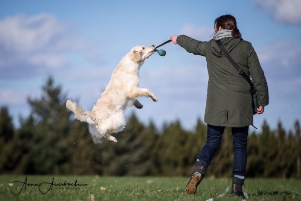 Wild Pepper Justify My Love