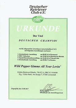 Deutscher Champion 