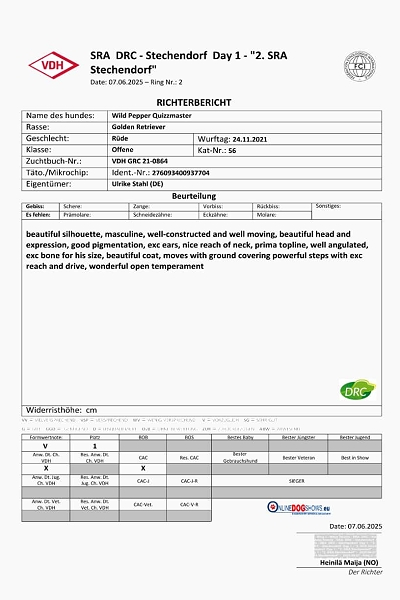 Richterbericht Philippe