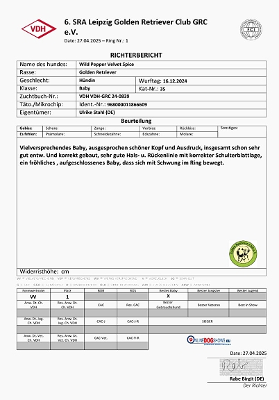 Richterbericht Velvet