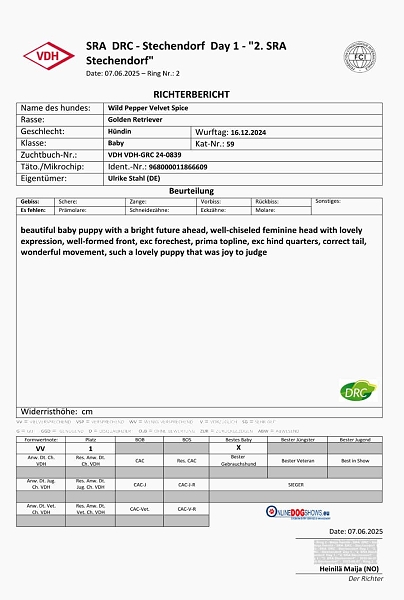 Richterbericht Velvet